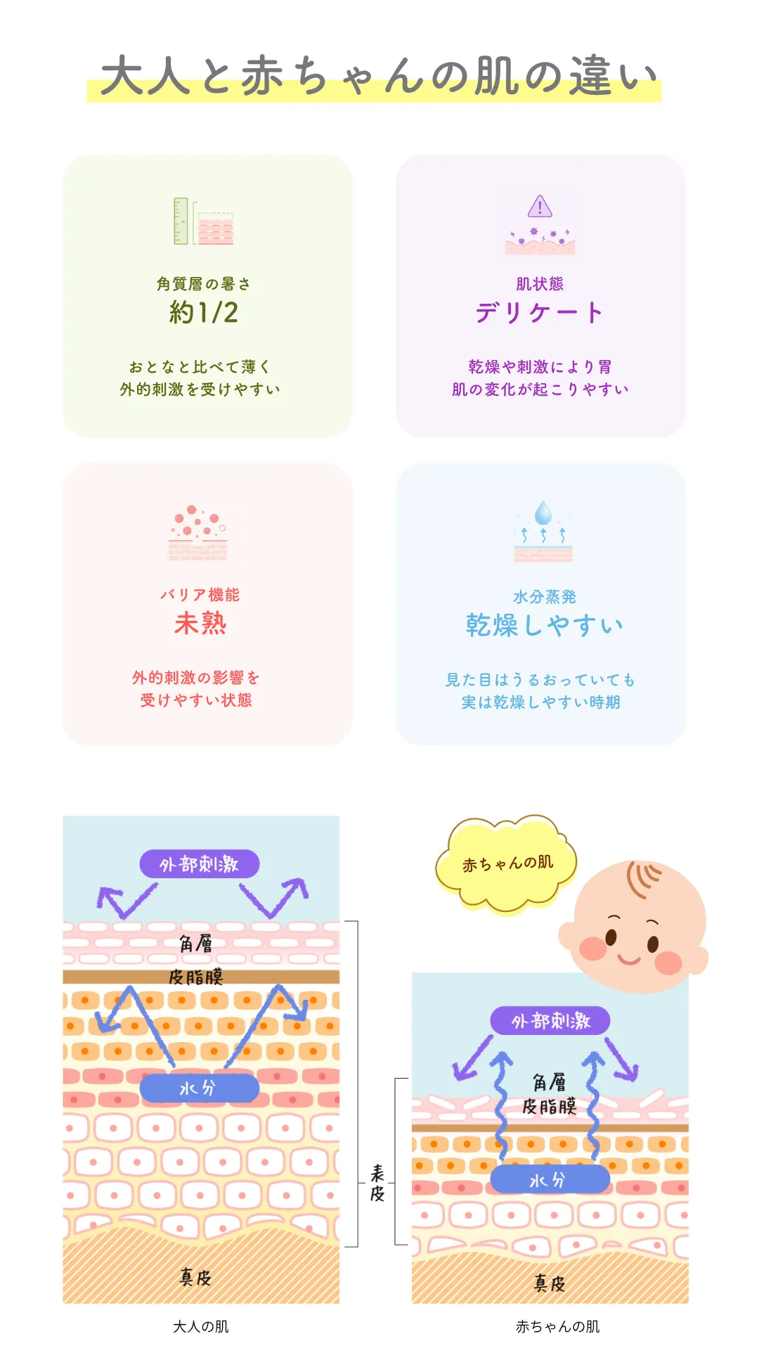 大人と赤ちゃんの肌の違い