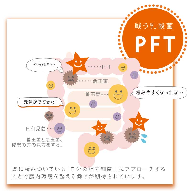 37sp PFT FiBER 30Days/ピーエフティファイバー30デイズ