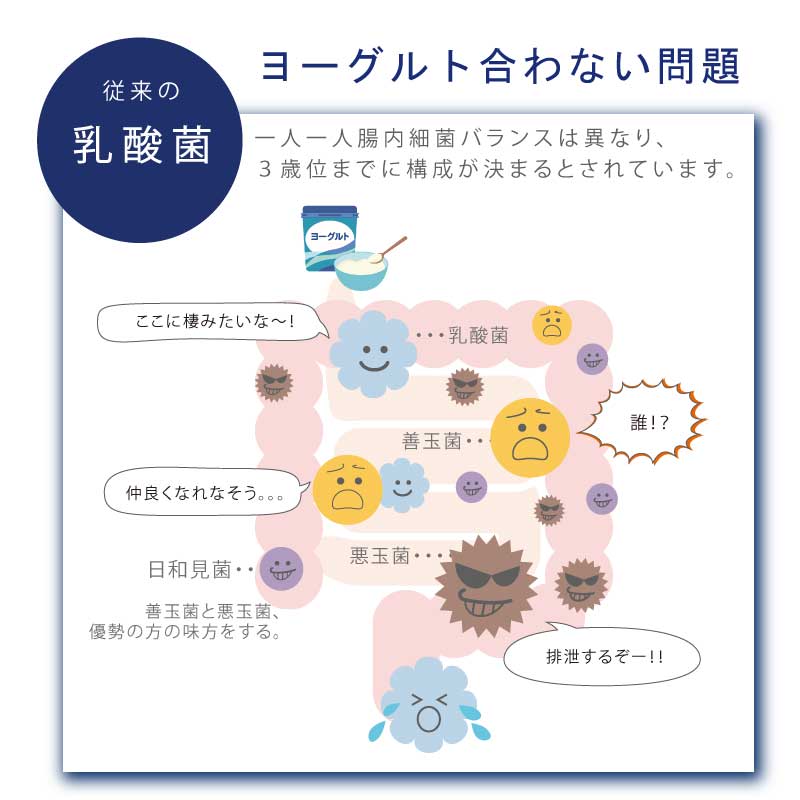 37sp PFT FiBER 30Days/ピーエフティファイバー30デイズ