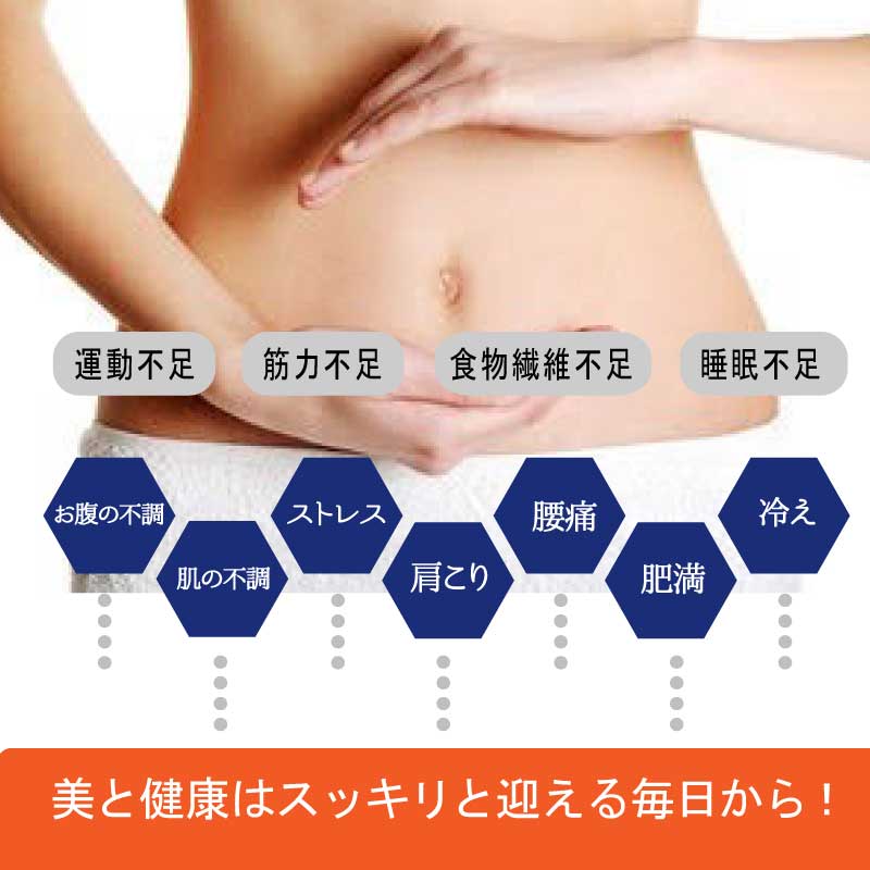  37sp DTX herb tea 10包 / DTXハーブティー10包